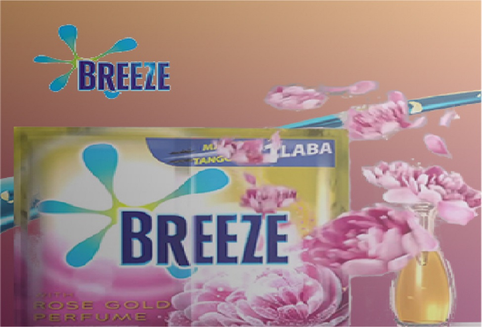 breeze case study