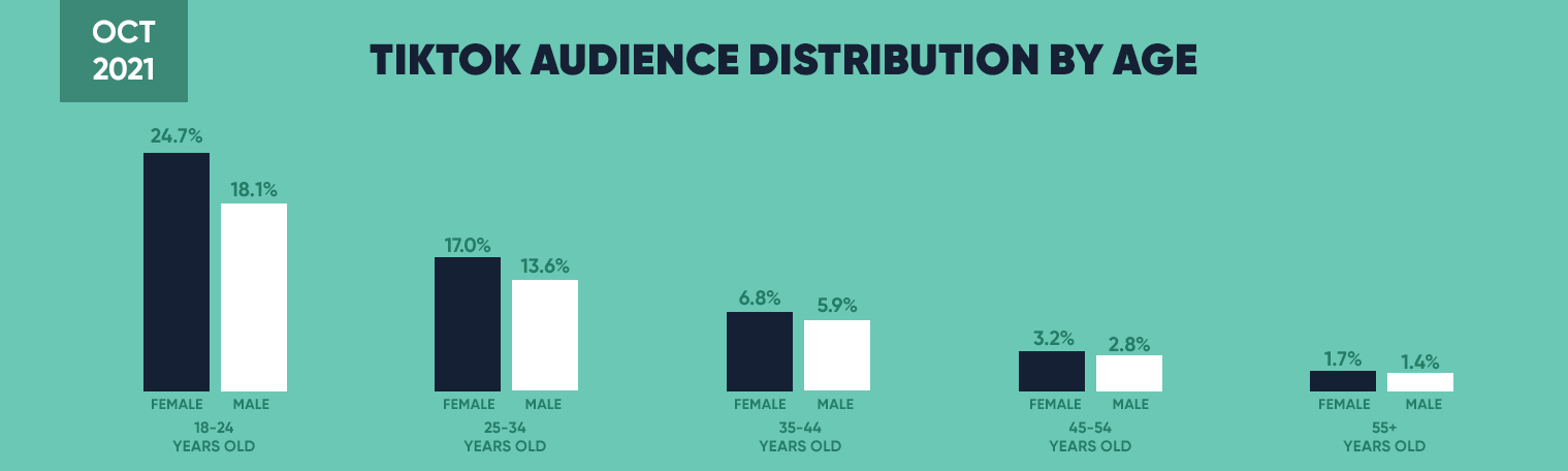 TikTok audience demographics